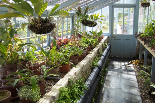 1020027570_5cbbc6180b_b